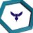 Charlotte Hornets