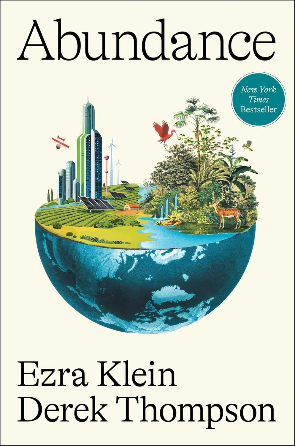 Abundance book cover image