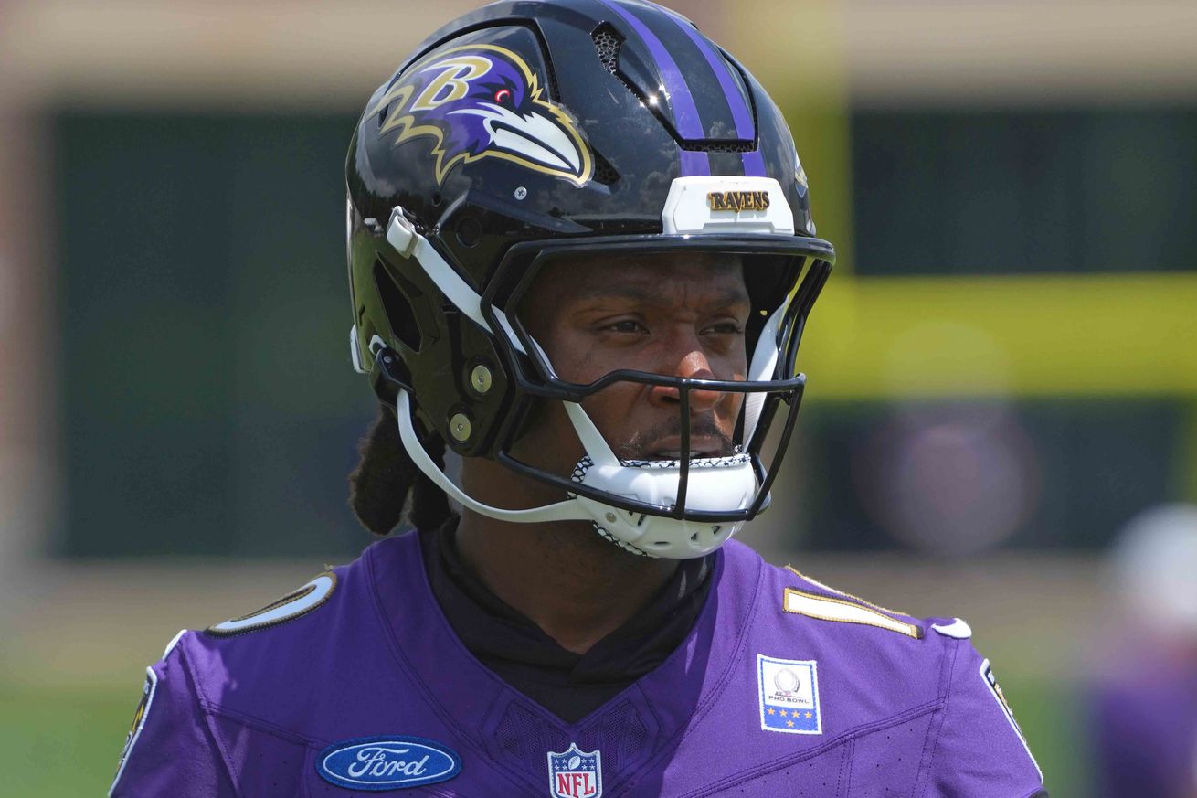 NFL: Baltimore Ravens Training Camp