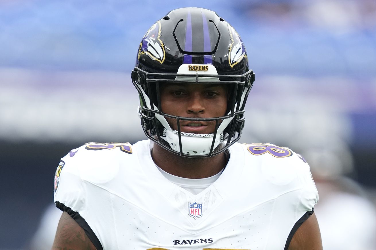 Atlanta Falcons v Baltimore Ravens